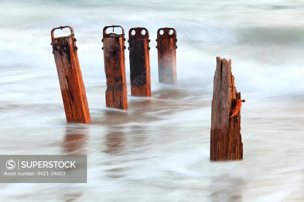 Old wooden groynes with incoming tide at dusk, Crow Point, North Devon, England, march