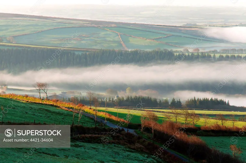 View of rural landscape with clearing mist over fields in morning sunlight, Long Wood, North Radworthy, Exmoor, North Devon, England, april