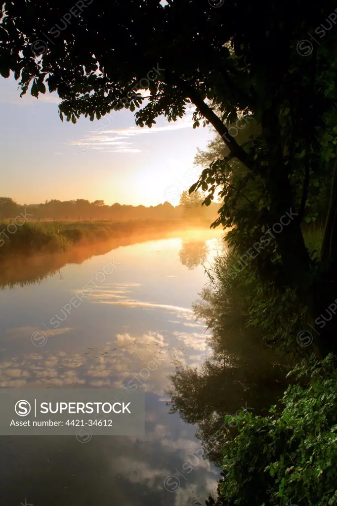 View of river at sunrise, River Gipping, Bramford, Suffolk, England, july
