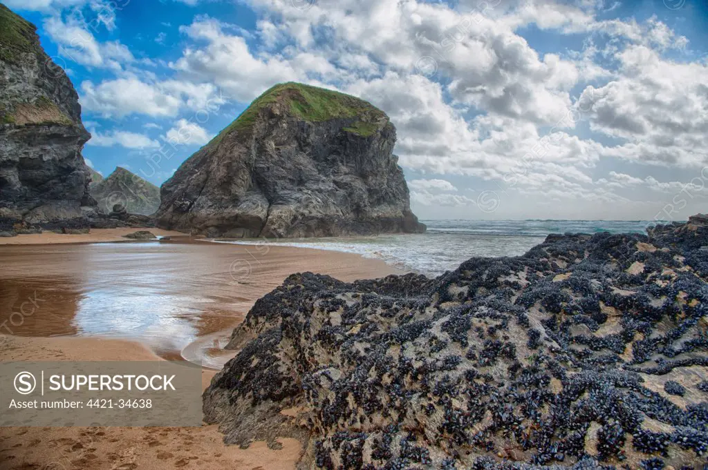 View of beach with slate outcrops, Bedruthan Steps, Bedruthan, Cornwall, England, june