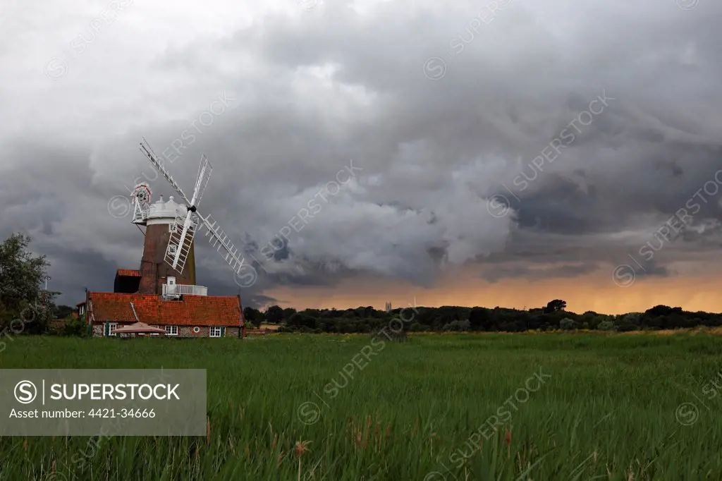 View over coastal reedbed habitat towards windmill and stormclouds, Cley Windmill, Cley Marshes, Cley-next-the-sea, Norfolk, England, july