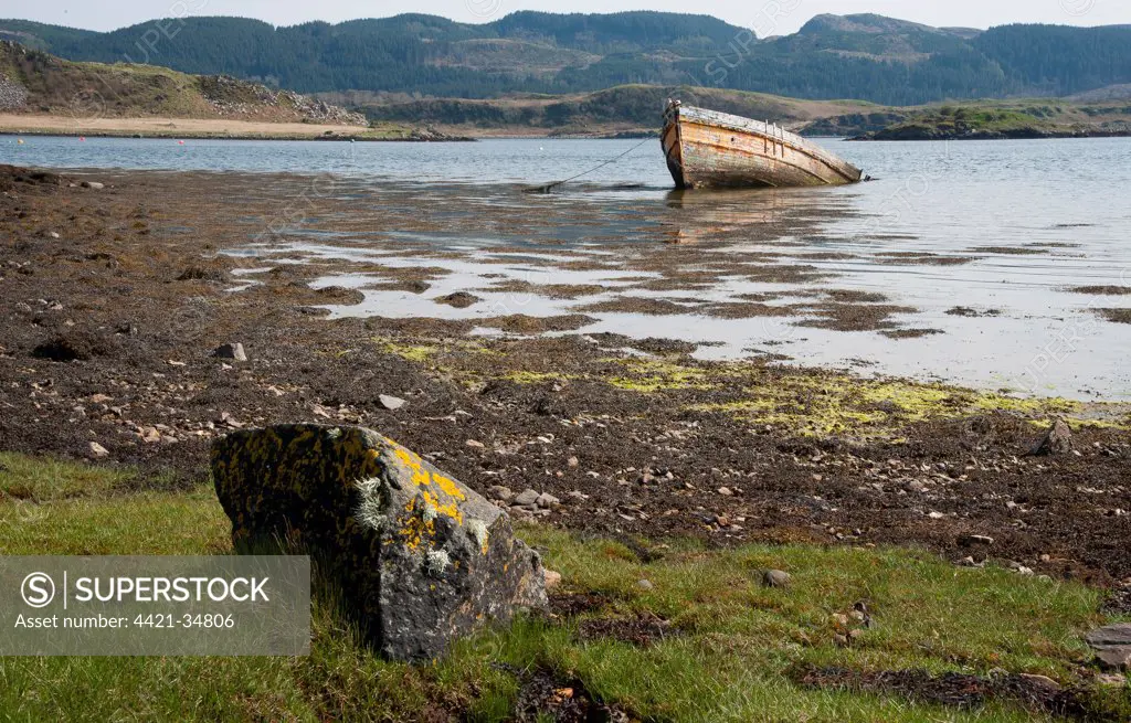 'Our Atalanta' boat wreck in sea loch, Craignish Loch, Ardfern, Argyll and Bute, Scotland, april