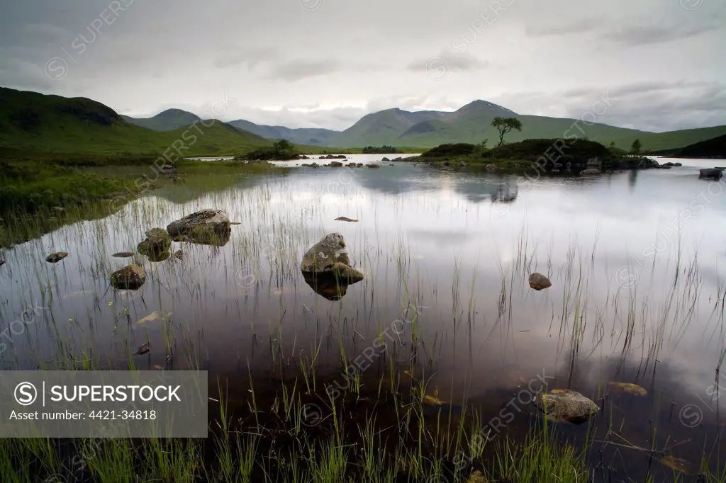 View of freshwater loch on upland plateau, Rannoch Moor, Highlands, Scotland, june