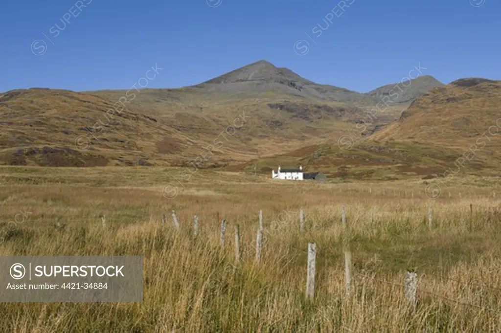 View of isolated cottage on moorland, Isle of Mull, Inner Hebrides, Scotland