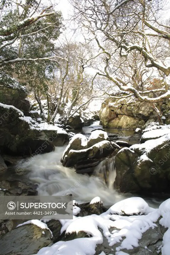 River with cascades in snow, River Marteg, Gilfach Farm Nature Reserve, Radnorshire Wildlife Trust Reserve, near Rhayader, Powys, Wales, winter