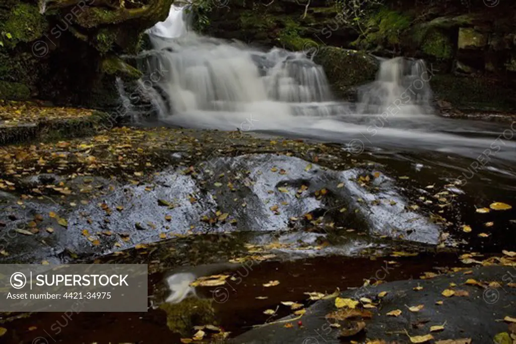 River with waterfall and fallen leaves in small pool, River Caerfanell, near Talybont Reservoir, Brecon Beacons N.P., Powys, Wales, october