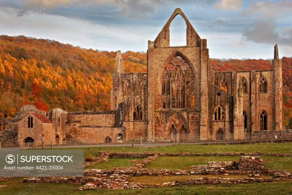 Cistercian abbey ruins, Tintern Abbey, Tintern, Wye Valley, Monmouthshire, Wales, autumn