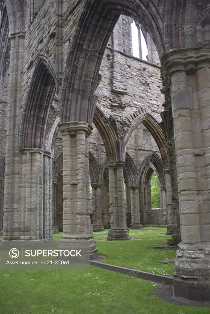 Columns in Cistercian abbey ruins, Tintern Abbey, Tintern, Wye Valley, Monmouthshire, Wales, june