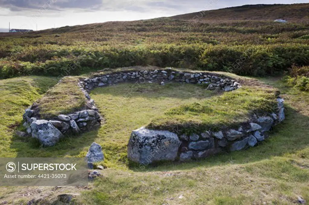 Iron Age farm steadings, low stone walls supported roof timbers, Holyhead Mountain Hut Group, Holy Island, Anglesey, Wales, august