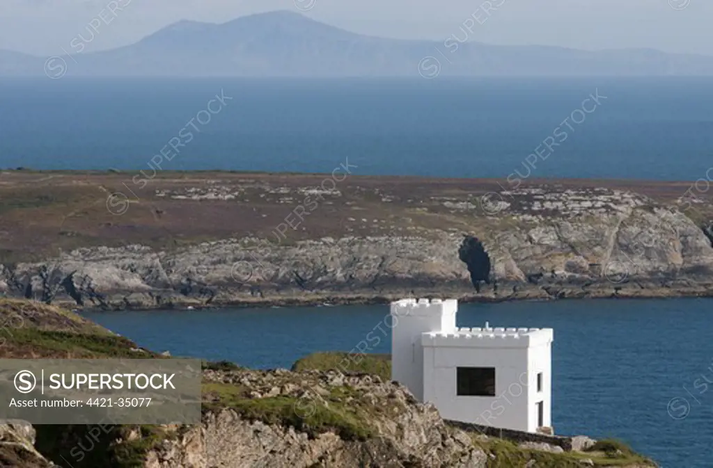 View of Ellin's Tower (built in 1868) and coastline, RSPB South Stack Cliffs, Anglesey, Wales, august