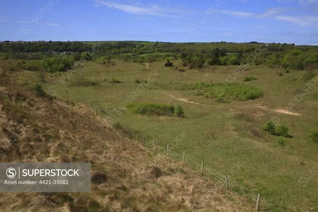 View of vegetated sand dune habitat, Oxwich National Nature Reserve, Gower Peninsula, Glamorgan, Wales, may