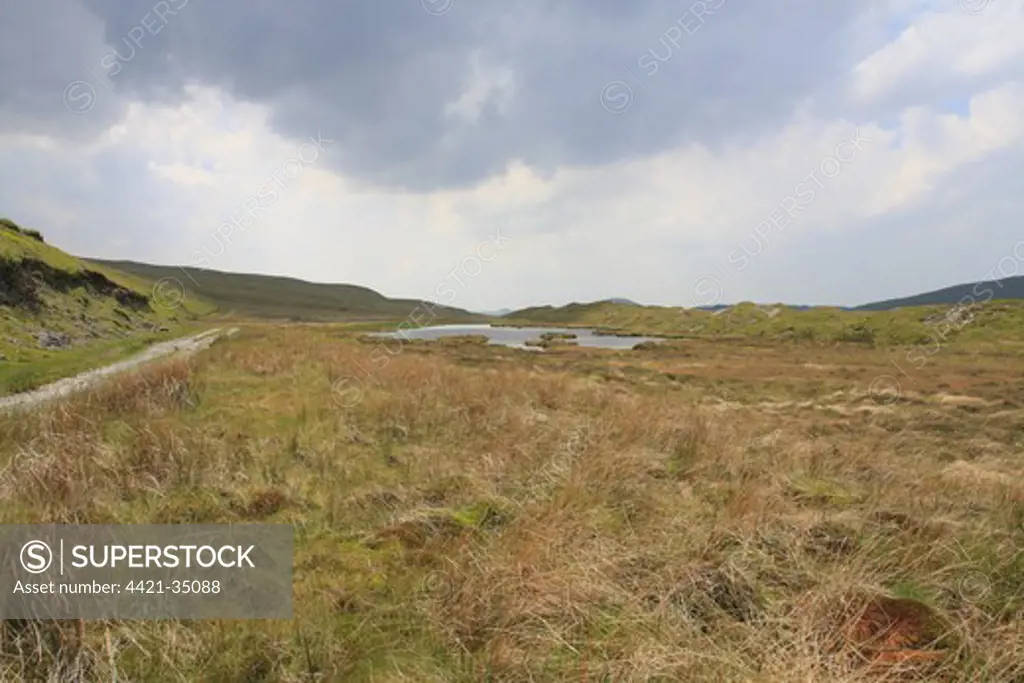 View of upland peat bog habitat, Llyn Pen-cor-maen, Ceredigion, Wales, june