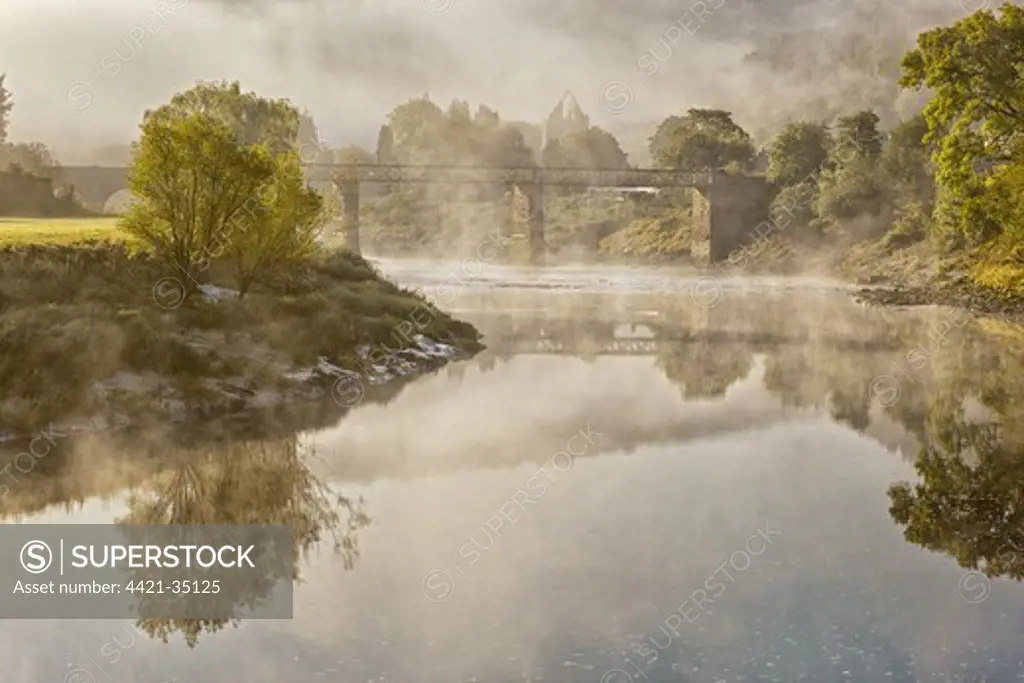 View of river, bridge and Cistercian abbey ruins in mist at dawn, Tintern Abbey, Tintern, River Wye, Wye Valley, Monmouthshire, Wales, august
