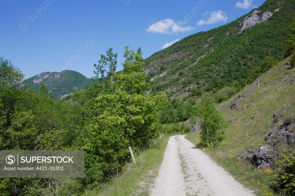 View of track through limestone hills, near Cassou, Pyrenees, Ariege, France, may