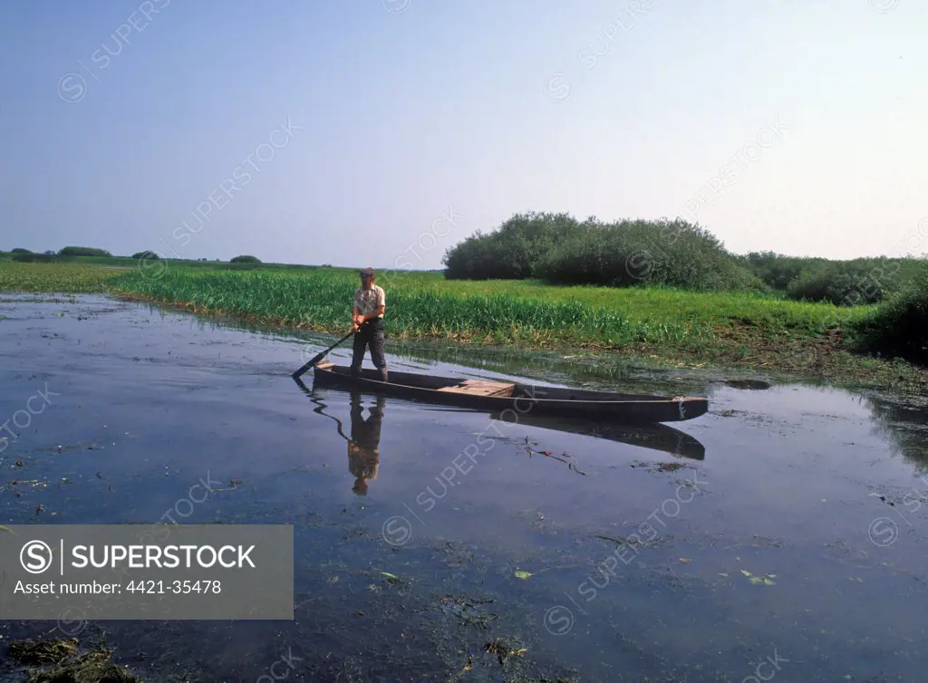 Poland Man on boat, Narew River, Biebrza Marshes