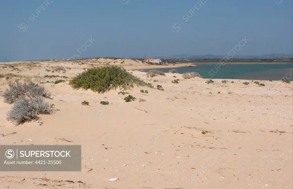 View from coastal sandspit over estuary with fishing village, Ria Formosa N.P., Algarve, Portugal, april