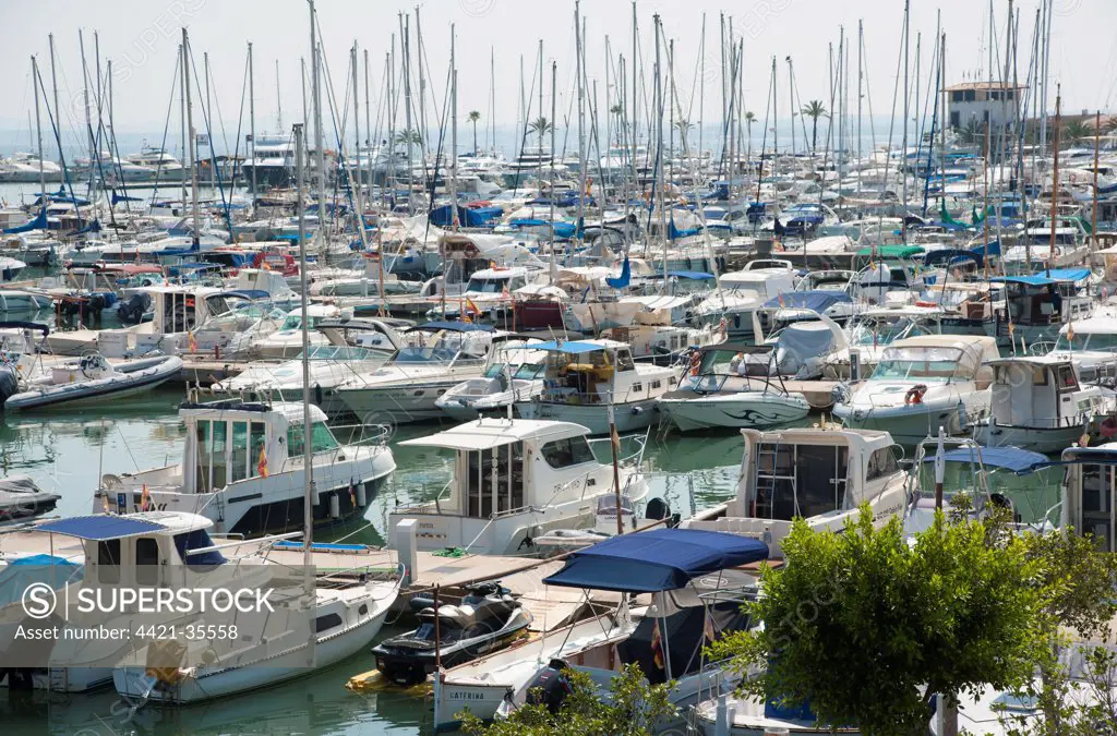 Boats moored at floating docks in harbour, Port d'Alcudia, Alcudia, Majorca, Balearic Islands, Spain, September