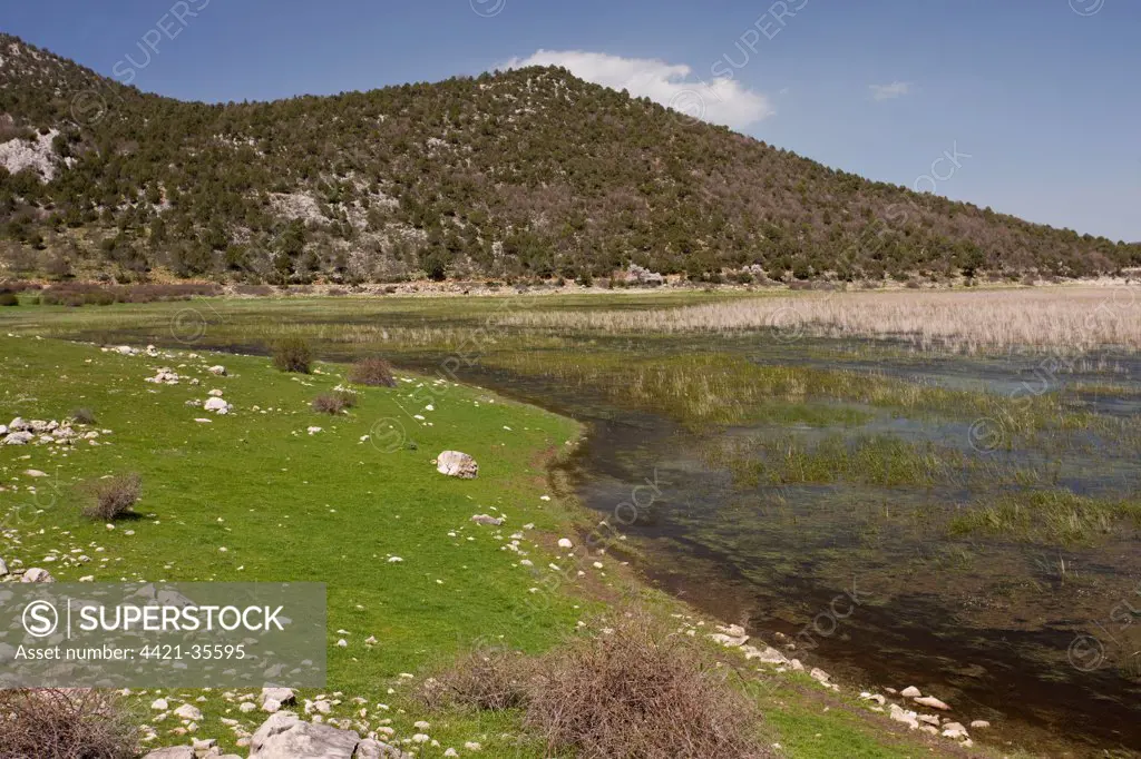 View of lakeside habitat, Beysehir Lake, Lake District, Central Anatolia, Turkey