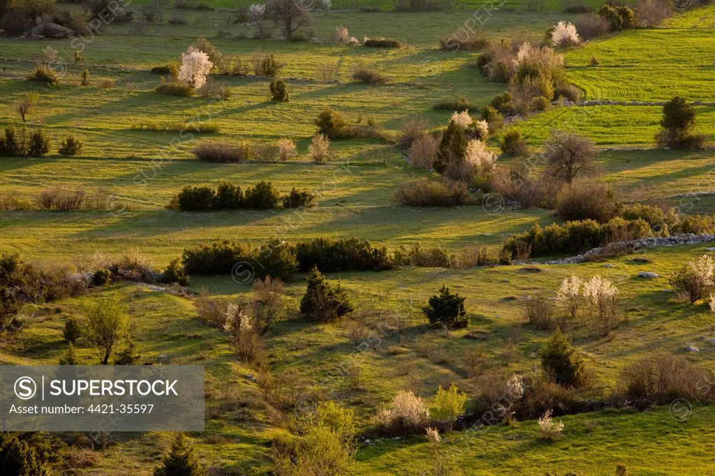 Old field patterns and boundaries in evening, Cimikoy, nr. Akseki, Taurus Mountains, Antalya Province, Southern Turkey, spring