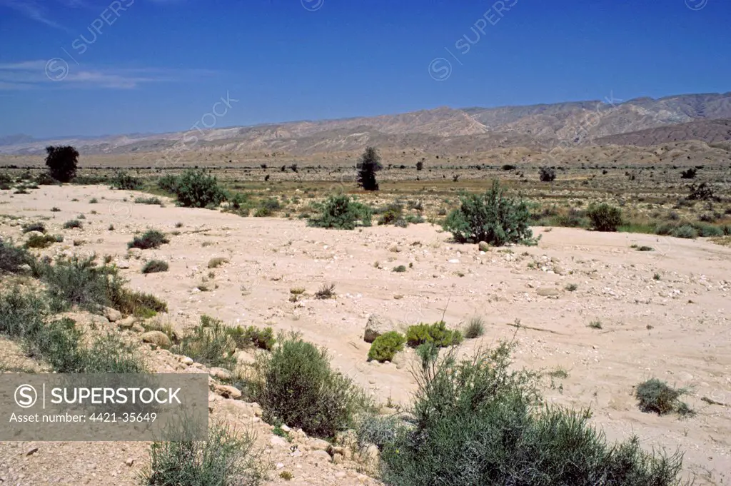 View of dry riverbed, East Bank, Mand River, Zagros Mountains, Iran