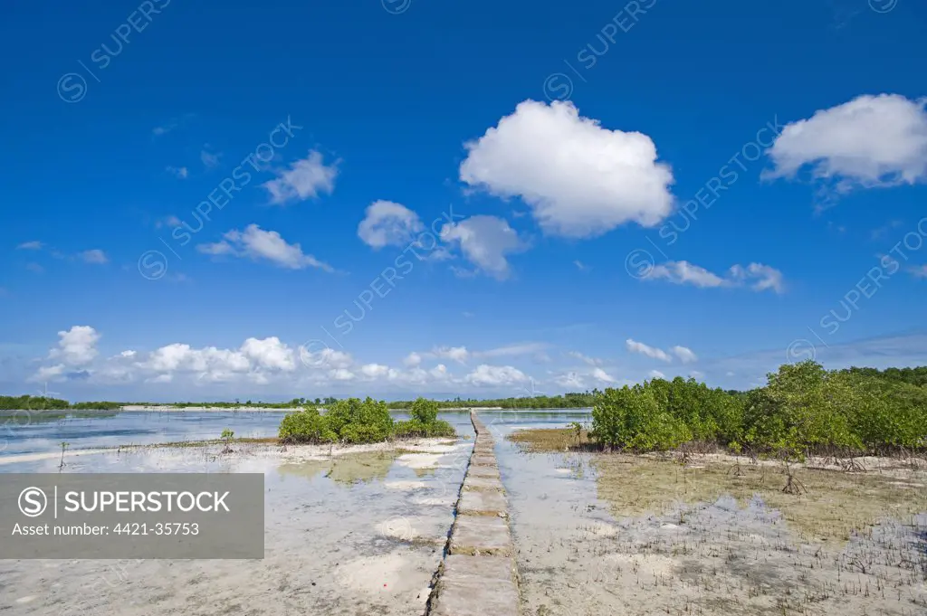 Causeway through coastal mangrove swamp habitat, Olango Island Wlidlife Sanctuary, Lapu-Lapu, Cebu Island, Philippines