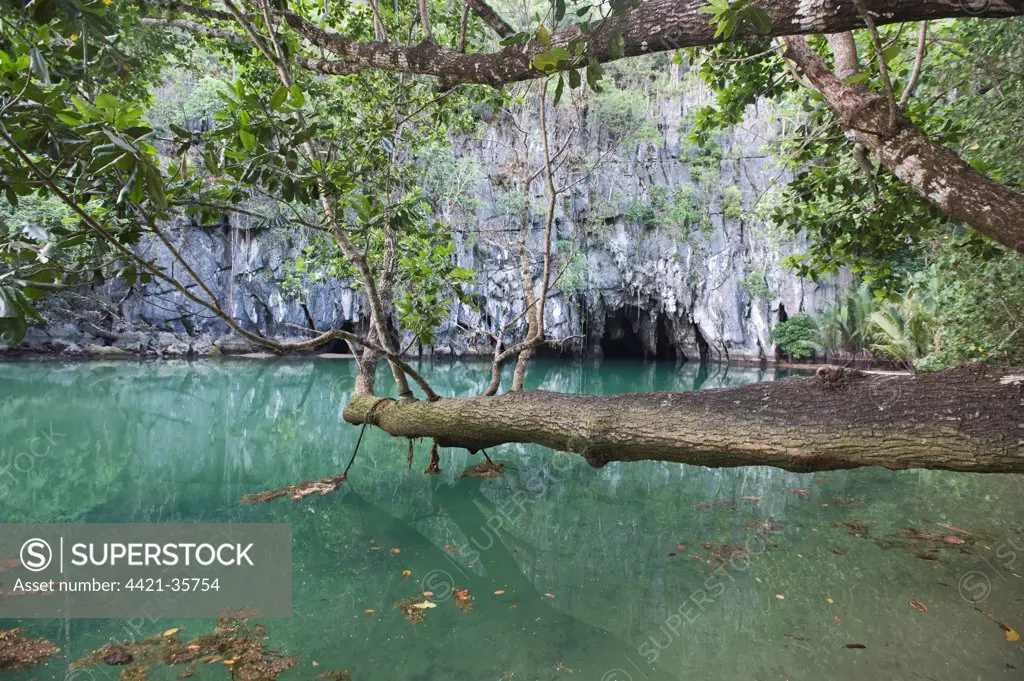 Cave entrance to subterranean river, Puerto Princesa Subterranean River N.P., Saint Paul Mountain Range, Palawan Island, Philippines