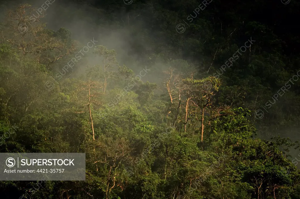 Steam rising from forest habitat, Puerto Princesa Subterranean River N.P., Saint Paul Mountain Range, Palawan Island, Philippines