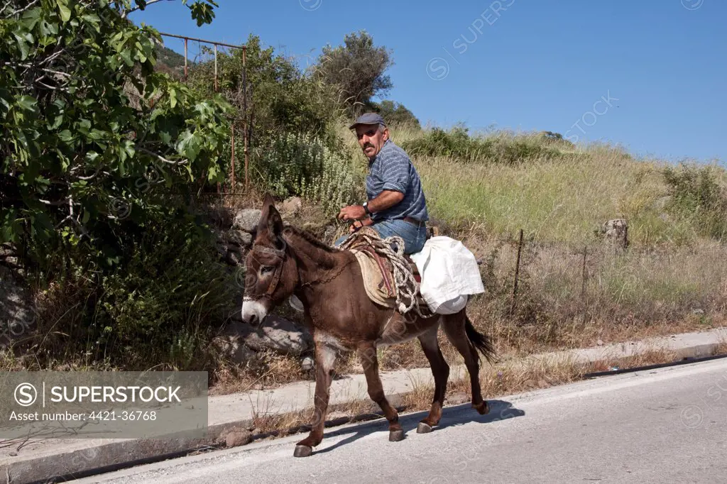 Riding a donkey - Lesvos Greece