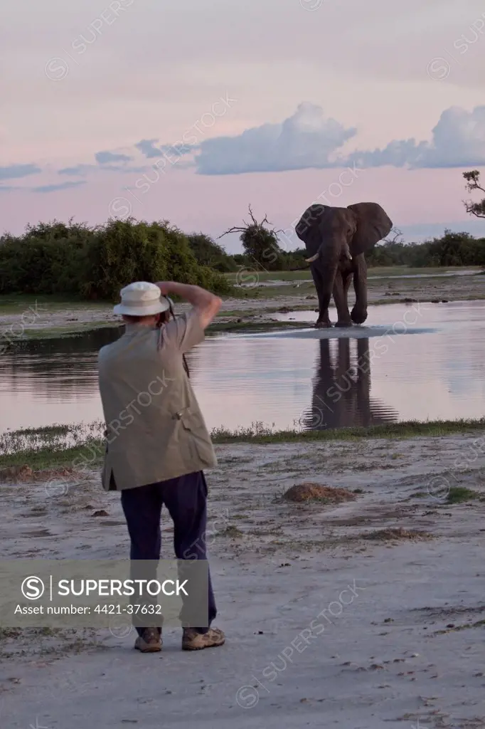 Photographing an African Elephant and a Botswana waterhole.