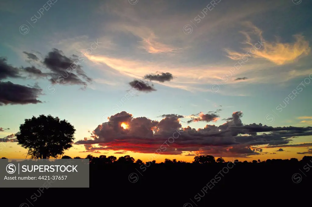 Evening sky in the Okavango Delta, the sun sets behind cumulus clouds with some cirrus clouds high in the sky.