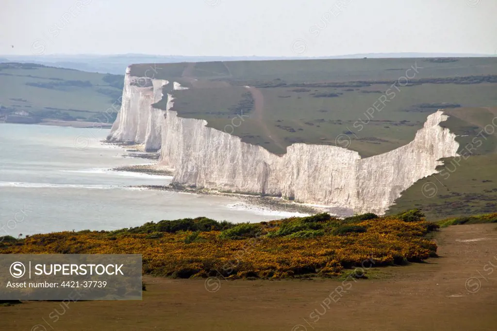 Beachy Head looking west over Birling Gap over gorse.