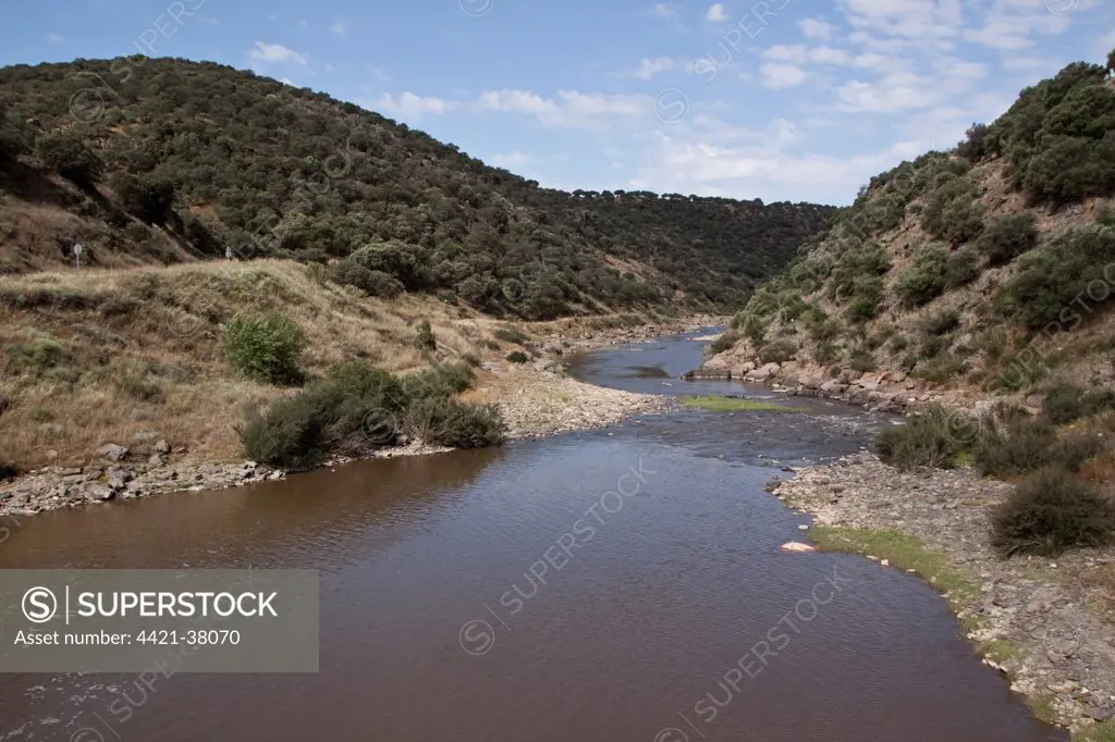 The banks of the river Almonte (Riberos del Almonte) - Extremadura, Spain