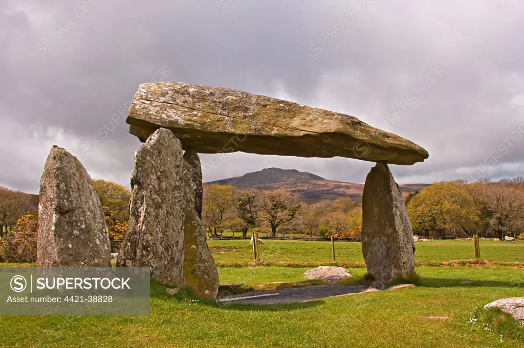 Neolithic dolmen, Pentre Ifan Dolmen, Pembrokeshire, Wales, april