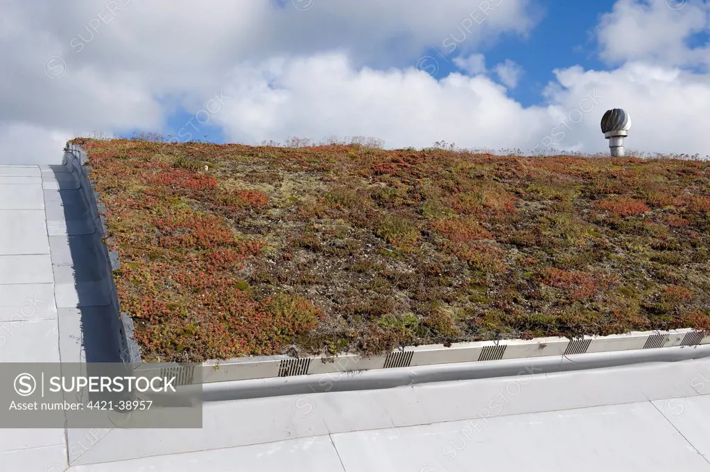 Eco visitor centre with sedum ecological insulation on roof, Cley Marshes, Norfolk Wildlife Trust Reserve, Cley-next-the-Sea, Norfolk, England, september