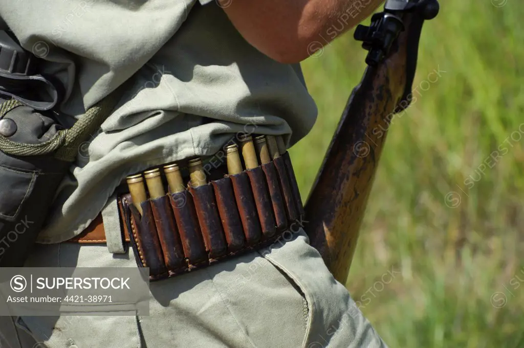 Armed game warden, close-up of cartridge belt, Kruger N.P., Mpumalanga, South Africa
