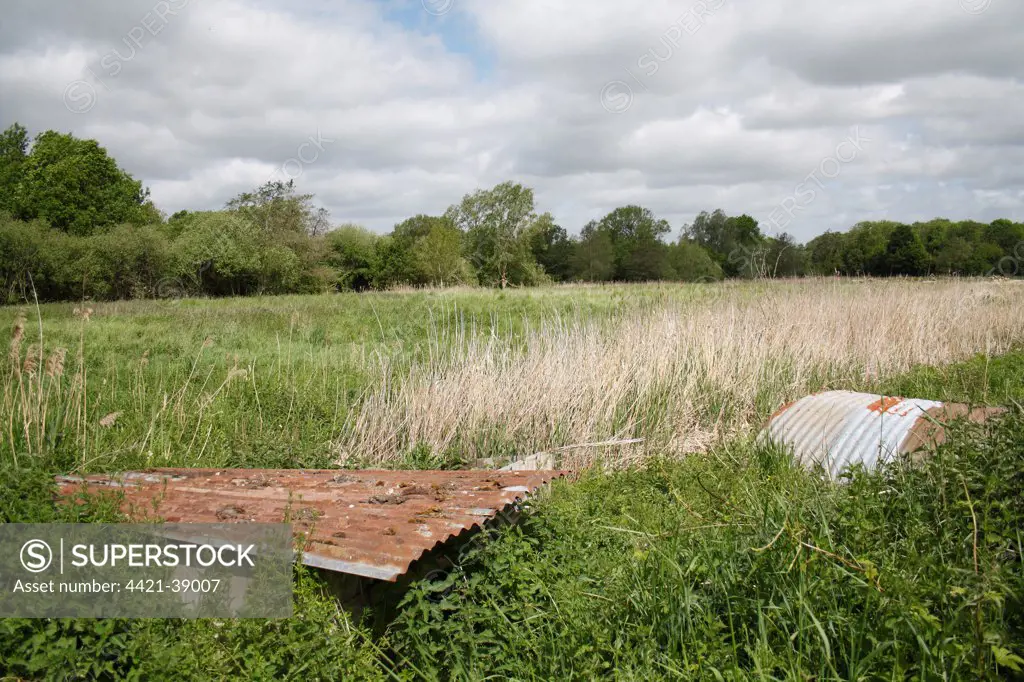 Recently purchased land for fen habitat restoration project, Little Ouse Headwaters Project, Webb's Fen, Thelnetham, Little Ouse Valley, Suffolk, England, may
