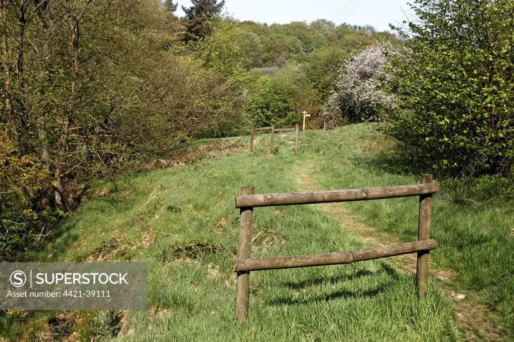 Pathway through woodland habitat, Coombes Valley RSPB Reserve, Staffordshire, England, april