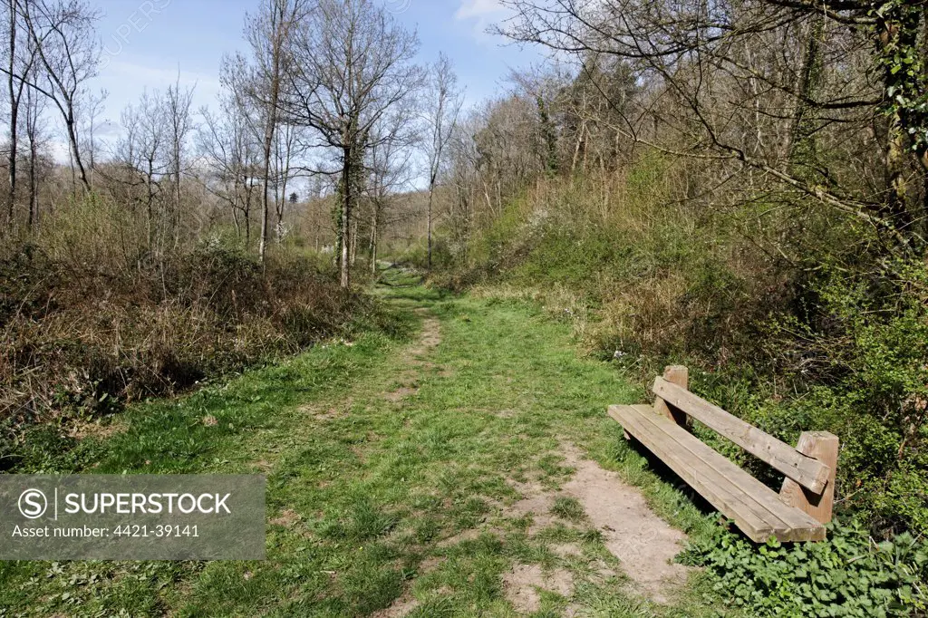 Bench beside path through woodland habitat, Highnam Woods RSPB Reserve, Gloucestershire, England, april