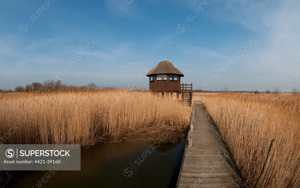 Boardwalk and raised hide in reedbed habitat, Hickling Broad, River Thurne, The Broads N.P., Norfolk, England, march