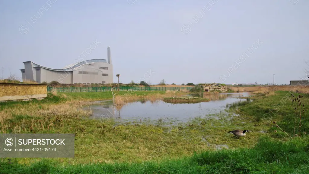 View of urban nature reserve with artificial sand martin wall nestsite, barn owl box on pole, wader scrape with island and artificial bat hibernaculum, created in mitigation for building of Thames Water sewage sludge incinerator in background, Crossness Nature Reserve, Bexley, Kent, England, march