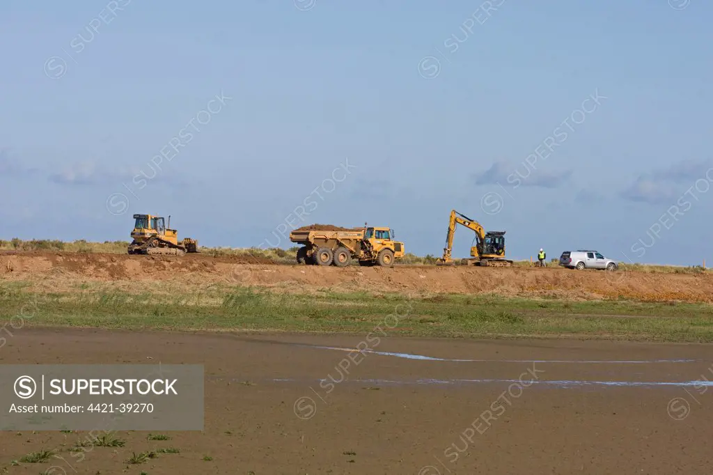 Building sea defence wall, machinery at work, Titchwell RSPB Reserve, Norfolk, England, autumn