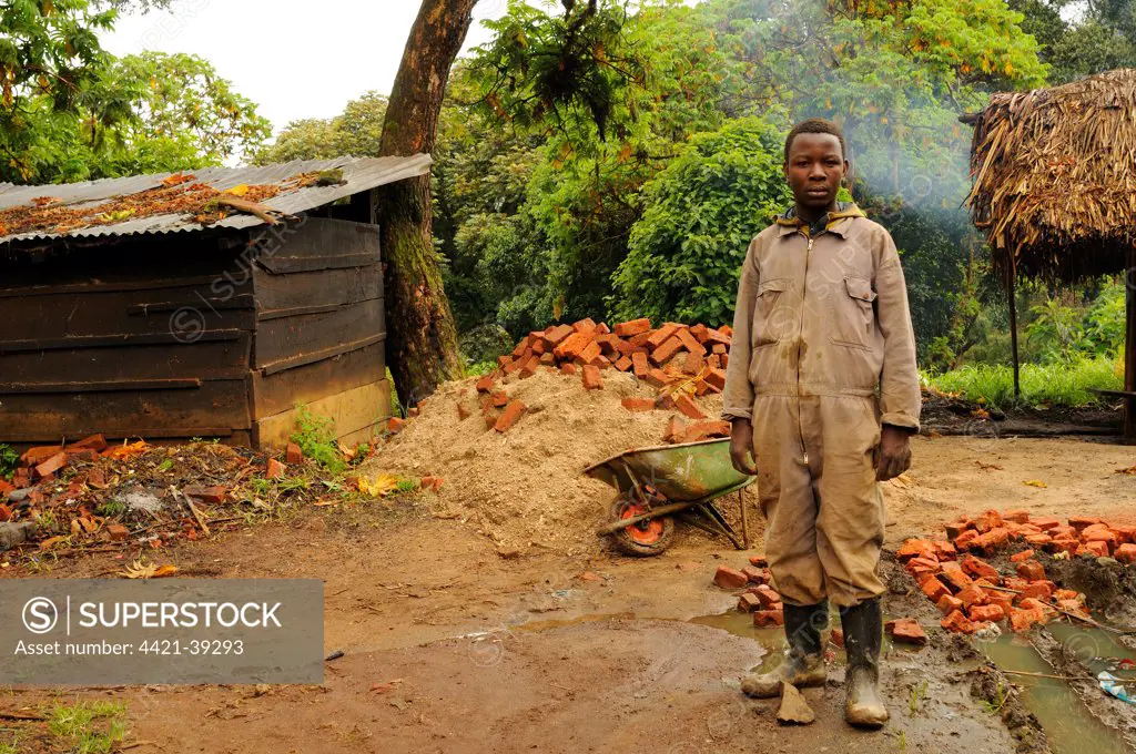 Child building houses in village on park border, Kahuzi-Biega N.P., Kivu Region, Democratic Republic of Congo, november