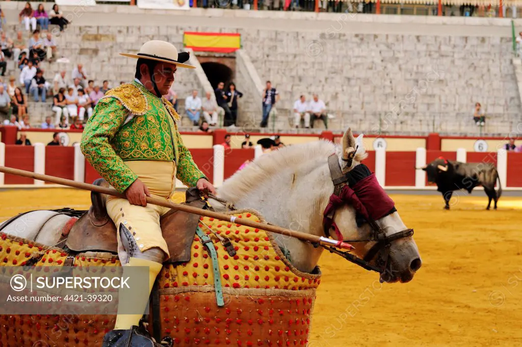 Bullfighting, Picador with lance, mounted on horse with 'Peto' protection, fighting bull in bullring, 'Tercio de varas' stage, Spain, september