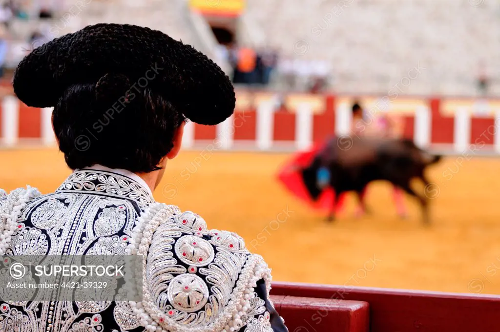 Bullfighting, Matador assisting final stage from border of bullring, 'Tercio de muerte' stage of bullfight, Spain, september