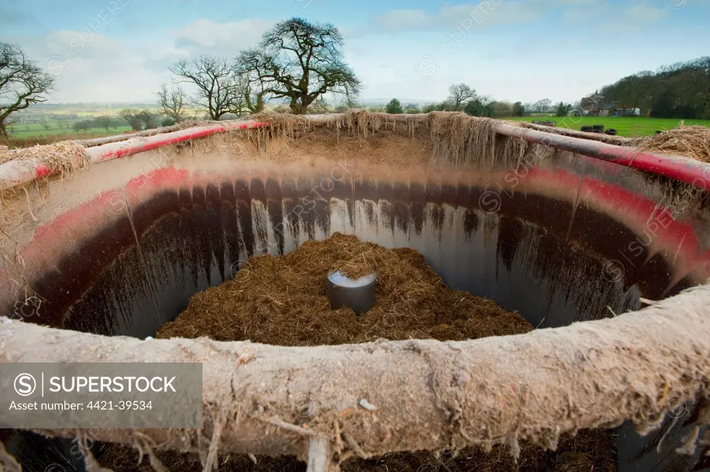Cattle feed, inside nine-bladed Siloking tub mixer wagon, Stoke-on-Trent, Staffordshire, England, winter