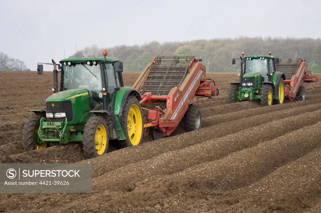 Potato (Solanum tuberosum) crop, tractors preparing seedbed and removing stones, Saxby Wolds, Lincolnshire, England, april