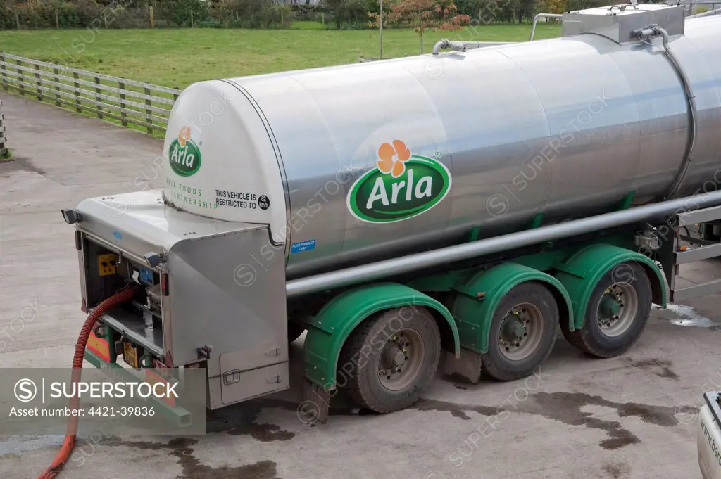 Arla milk tanker loading milk at dairy farm, Dumfries, Scotland