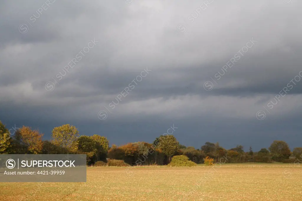 View of cultivated arable field and hedgerow, with approaching stormclouds, Bacton, Suffolk, England, october