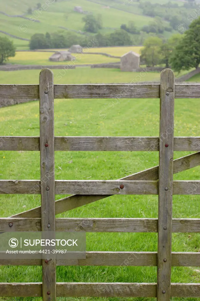 Wooden gate in foreground, with stone barns and drystone walls on hillside in background, Swaledale, Yorkshire Dales N.P., North Yorkshire, England, june