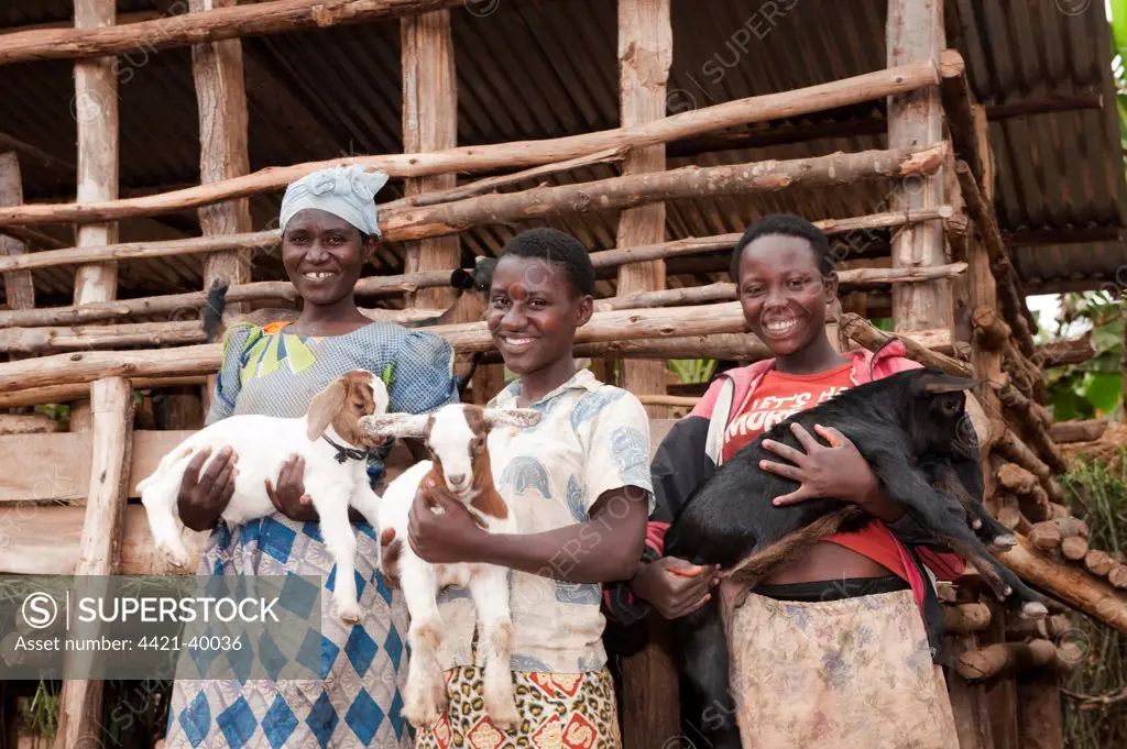 Goat farming, three women holding young Boer goats beside shed, Rwanda